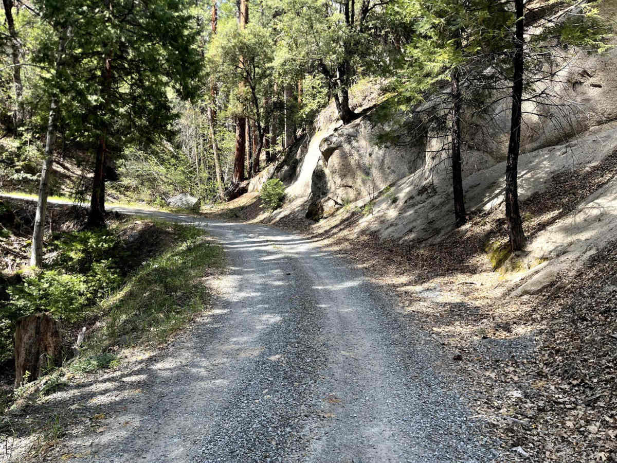 Webber Mill trail photo