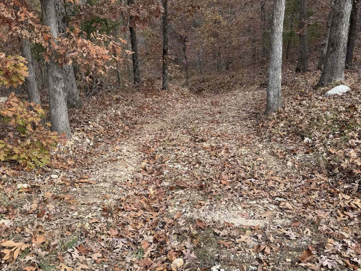 Yellow 190 trail photo