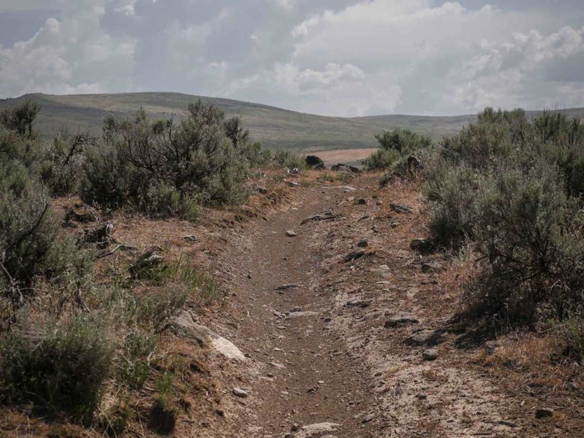 Lower Sugarloaf trail photo
