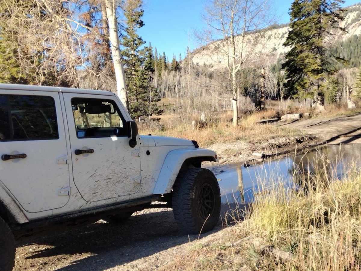 FS 51198 Upper 6 Mile Pond Loop photo 2