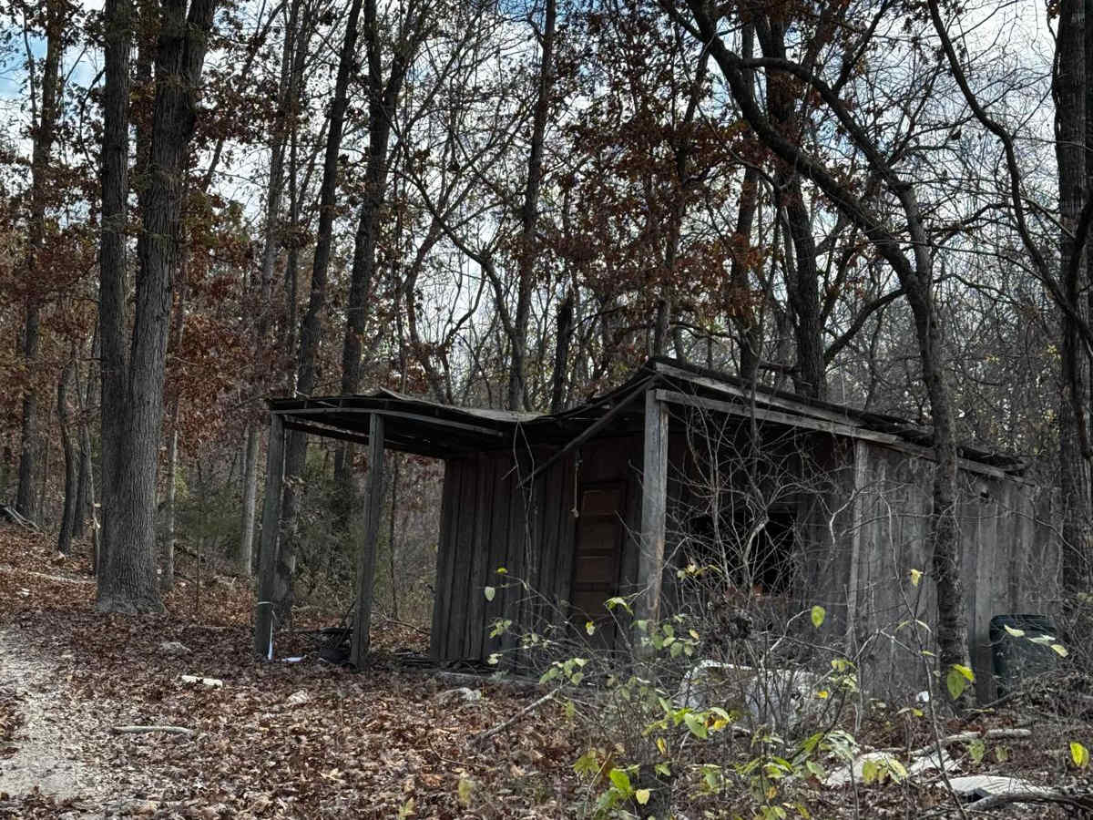 Cabin Access Trail photo 2