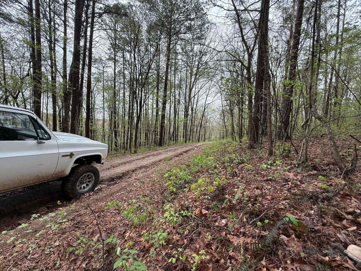 Clifty Creek photo 4