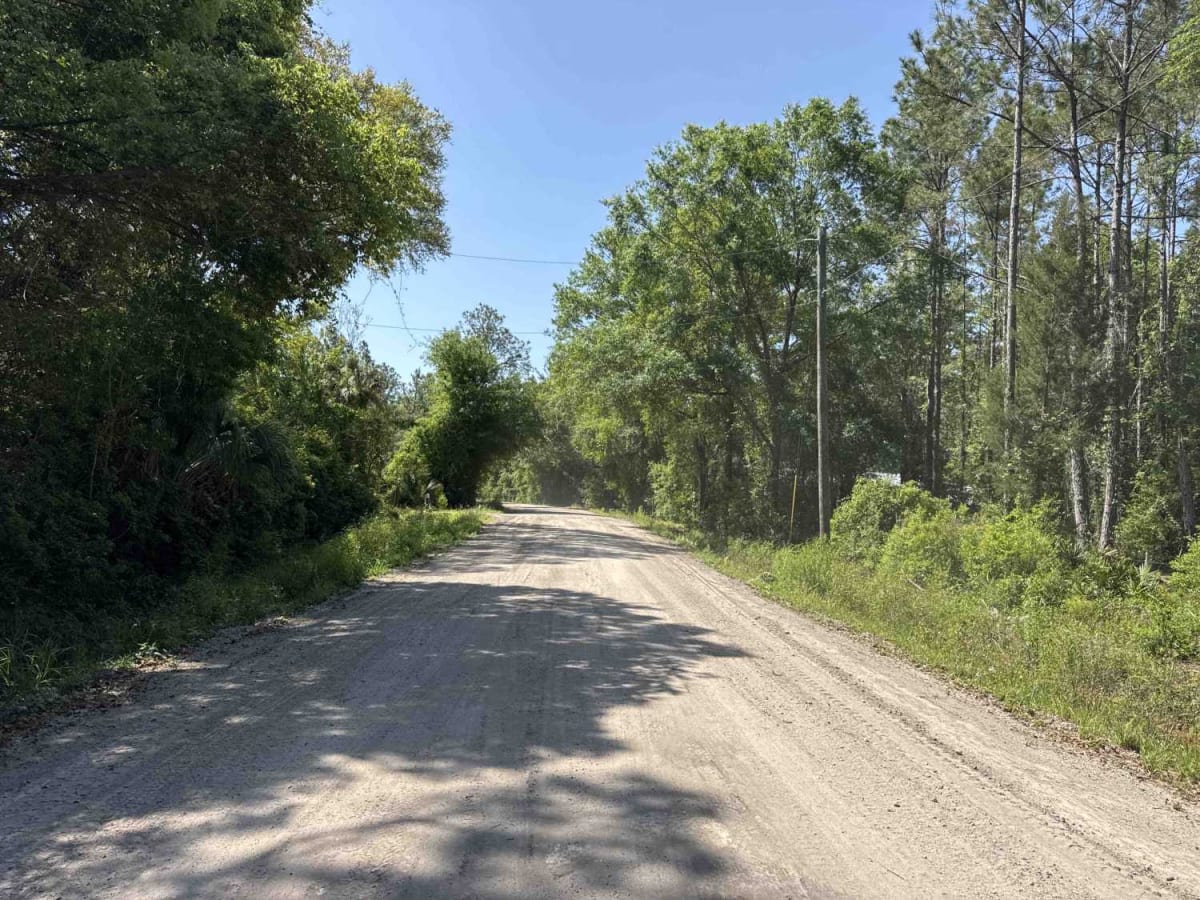 McCloskey-Still - Osceola NF 236 photo 4