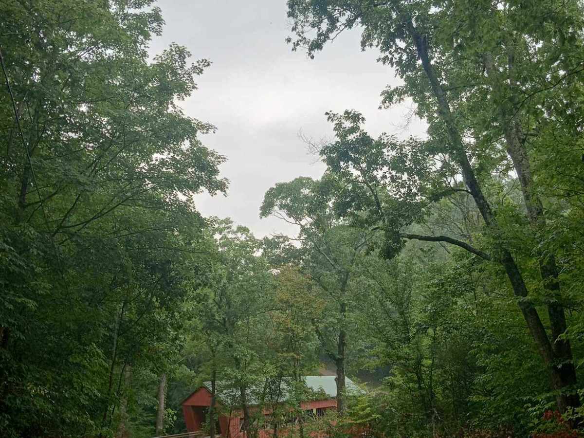 Helmick Mill Covered Bridge photo 5