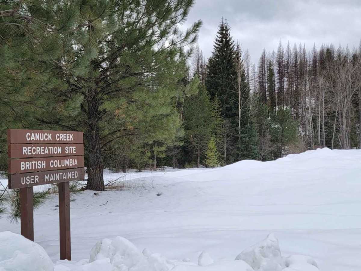 Yahk To Canuck Creek Rec Site photo 4