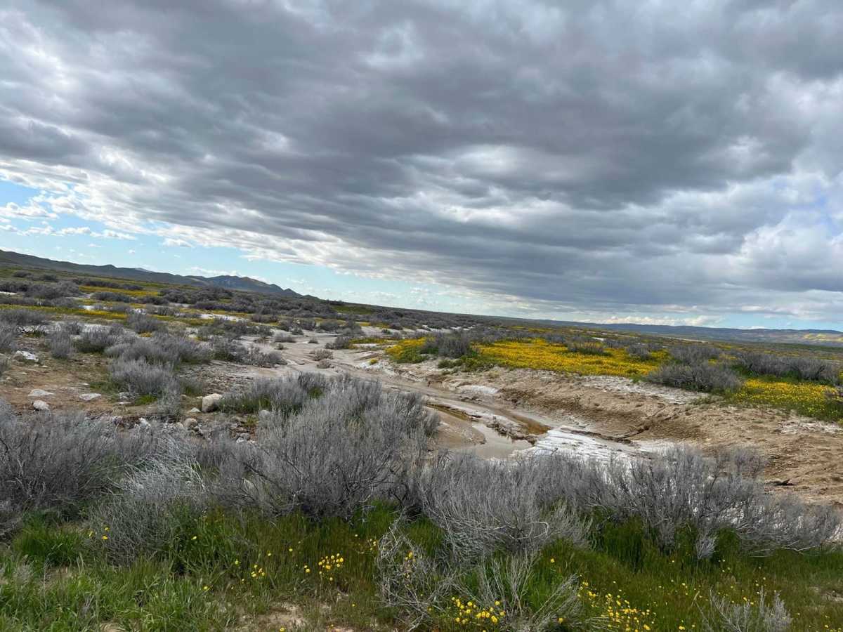 Elkhorn Road trail photo