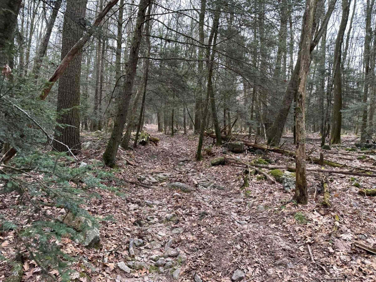 Tower City 28 trail photo