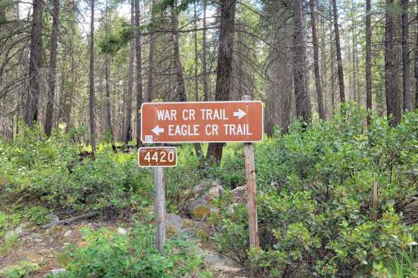 FR 4420 - West Buttermilk Creek Road