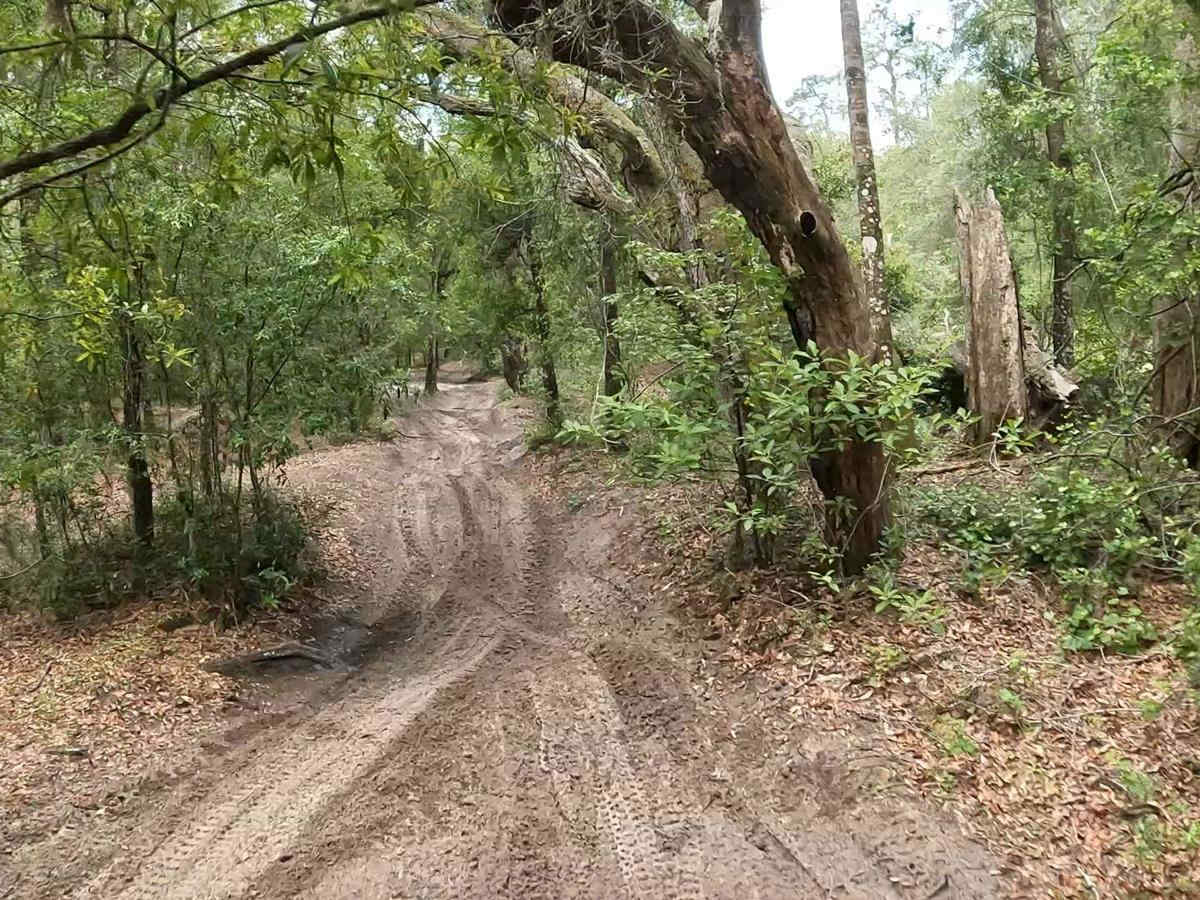 Croom ORV Park photo 6