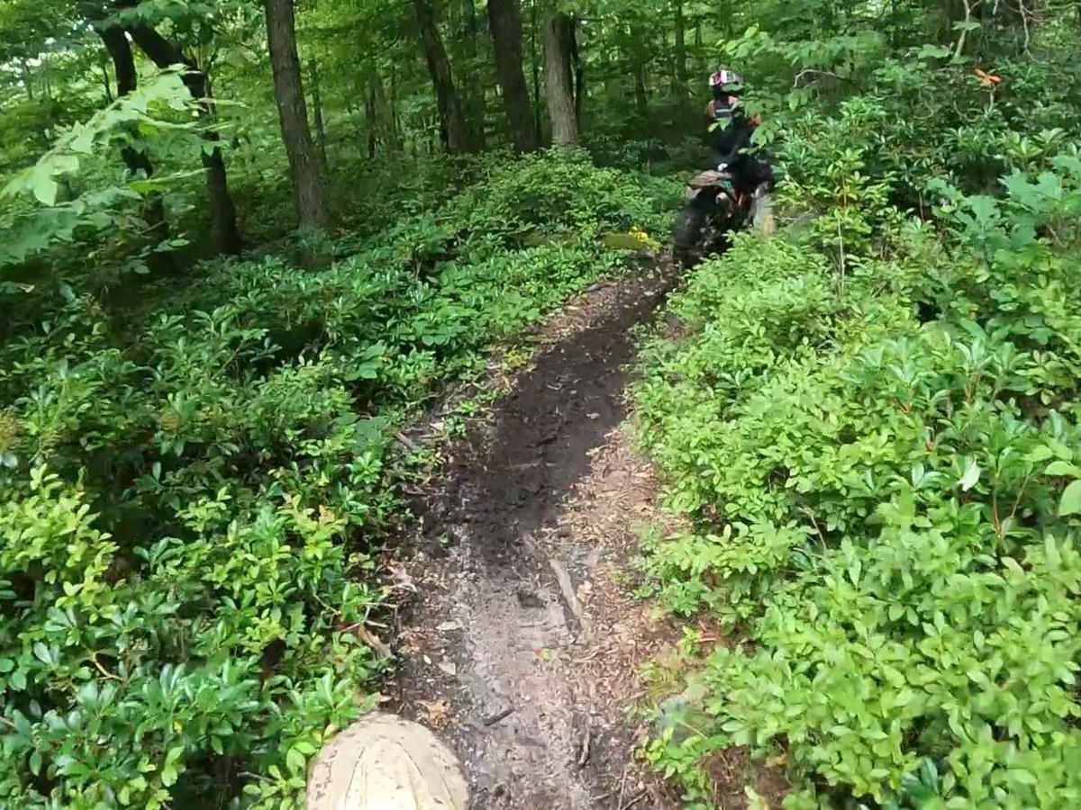 Mountain Ridge ATV Park Singletrack CG photo 3