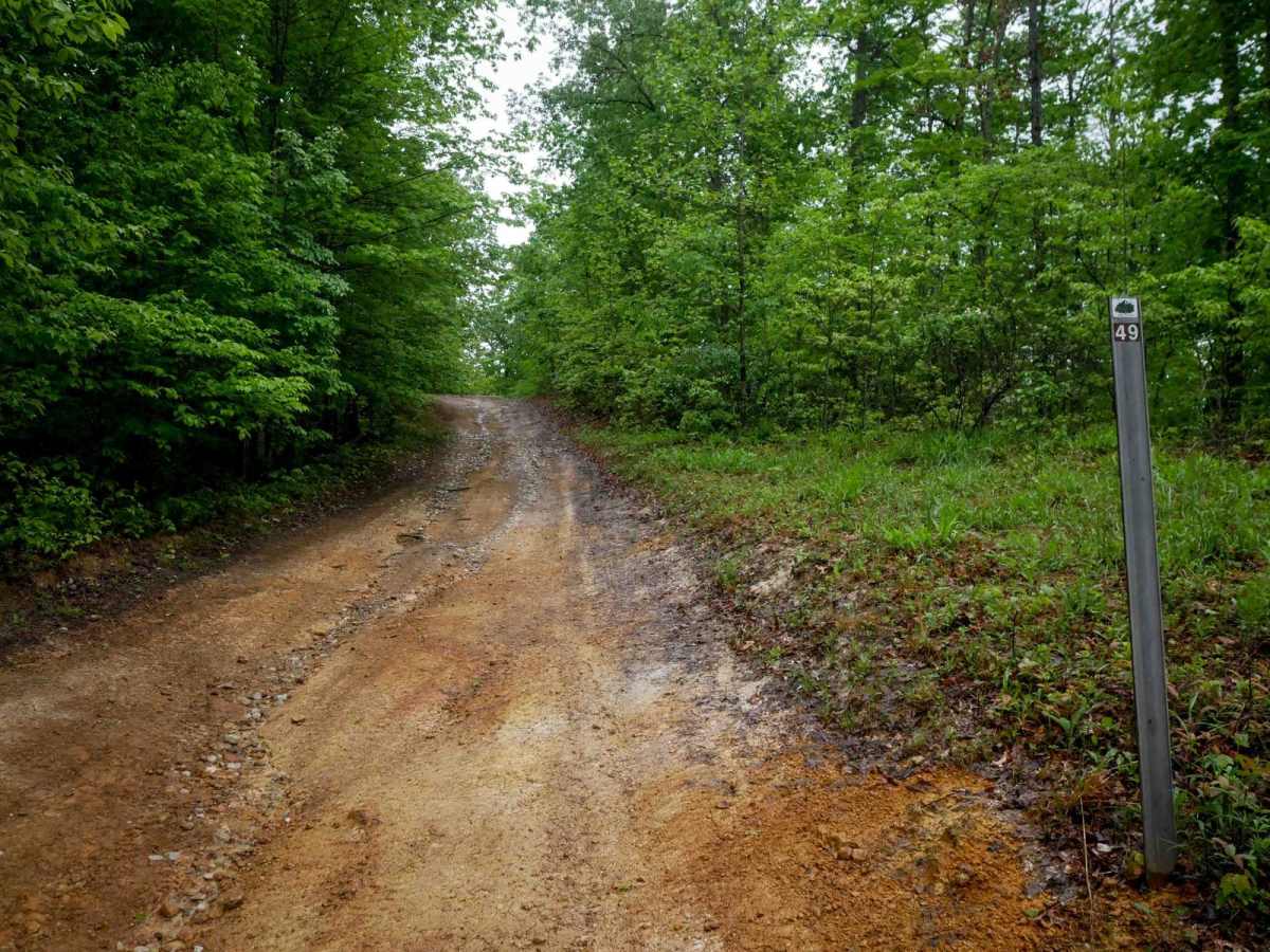 IB 49 trail photo