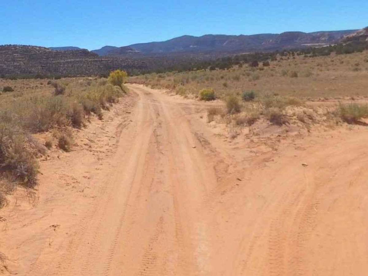 Beef Basin Road Loop - San Juan County B104 photo 5