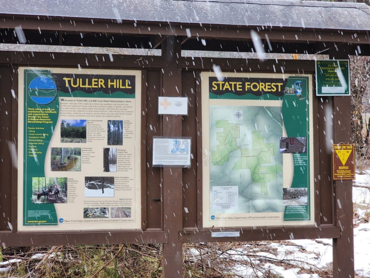 Snyder Hill PFAR photo 6