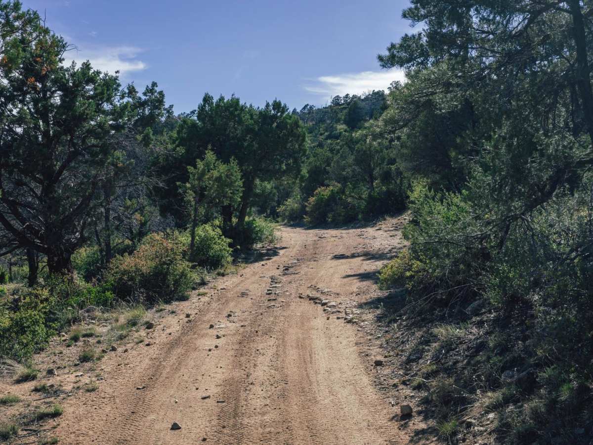 South Mesa photo 6