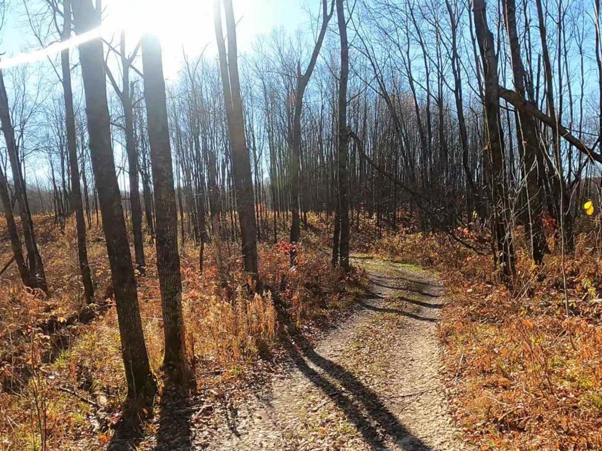 Twin Creek Twisty Trail photo 2