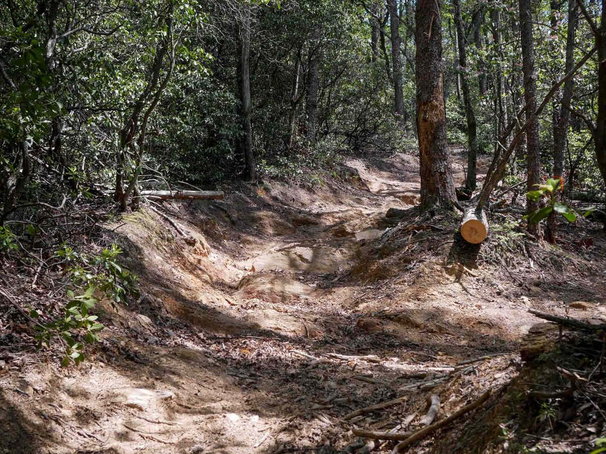 Ridge Top Trail C photo 3