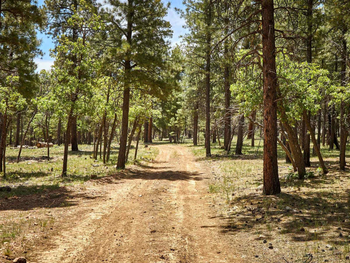 Elk Cabin photo 2