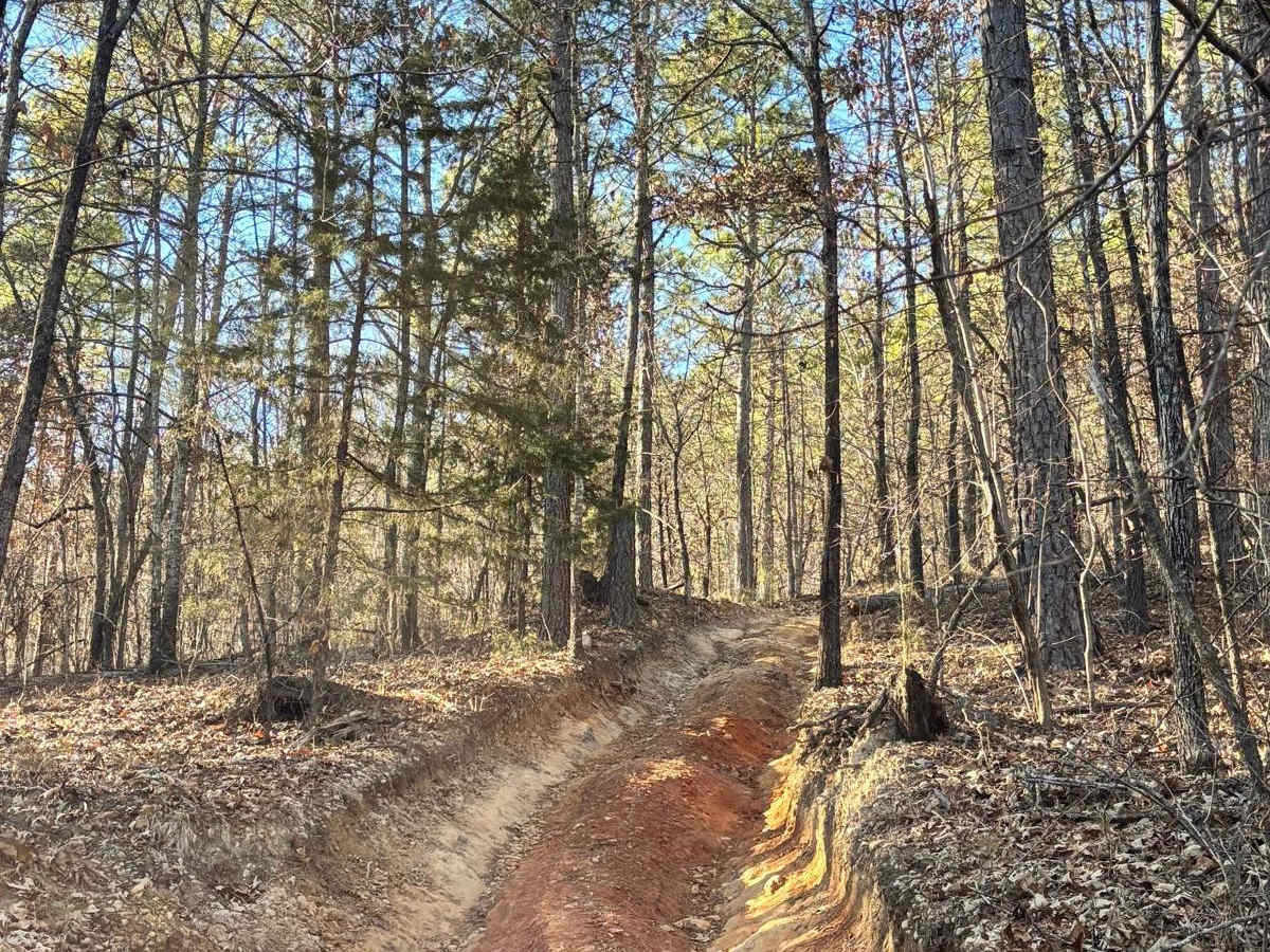 59 trail photo