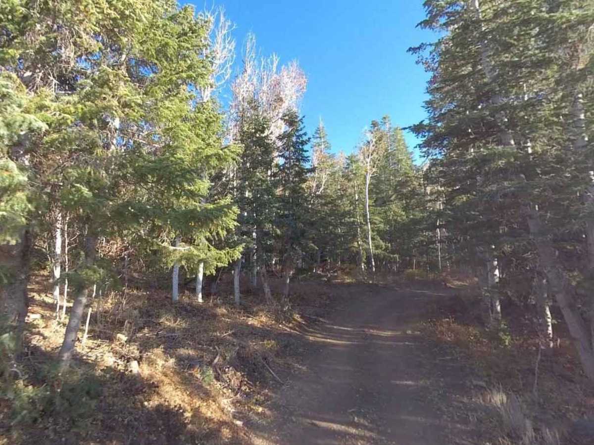 Forshea Mountain South photo 4