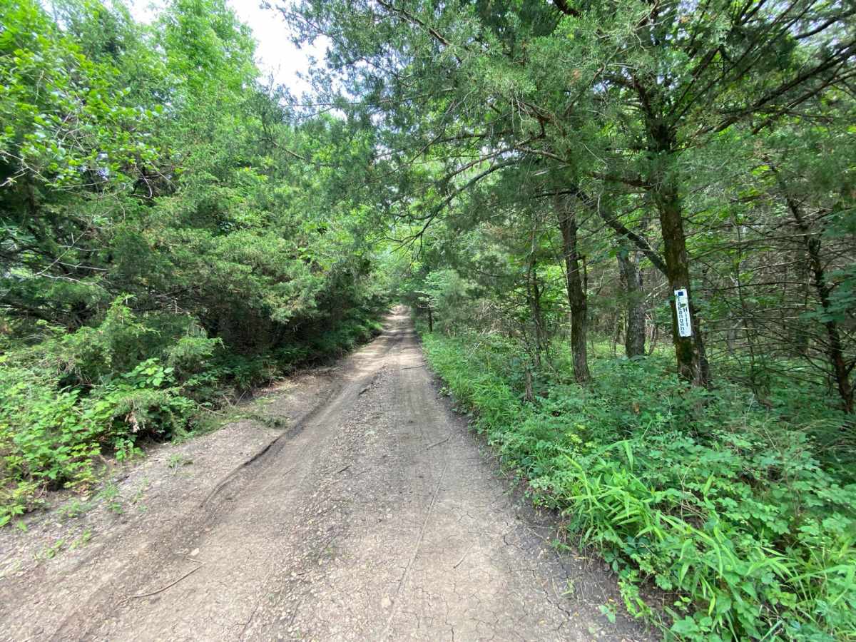 Takanoah's Hill photo 2