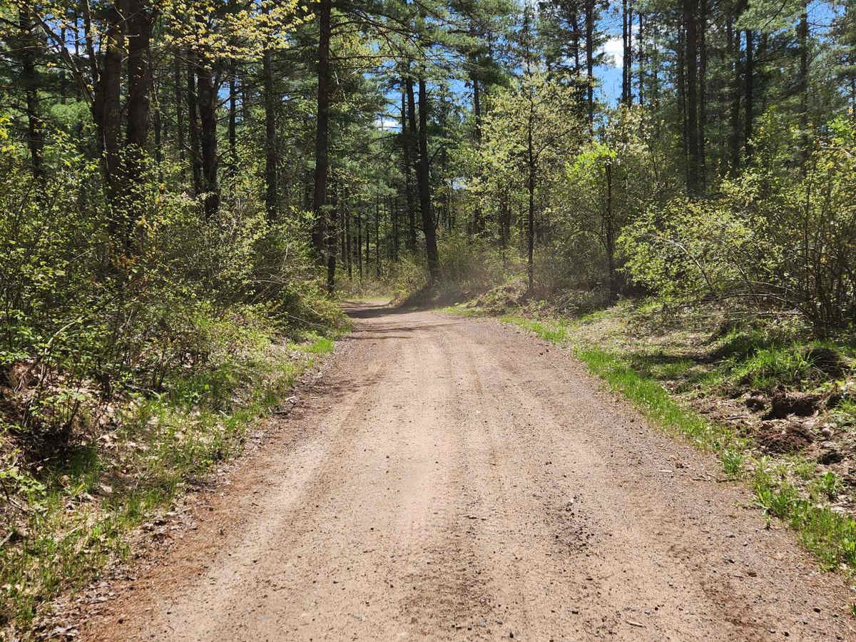 Trail 77 photo 3