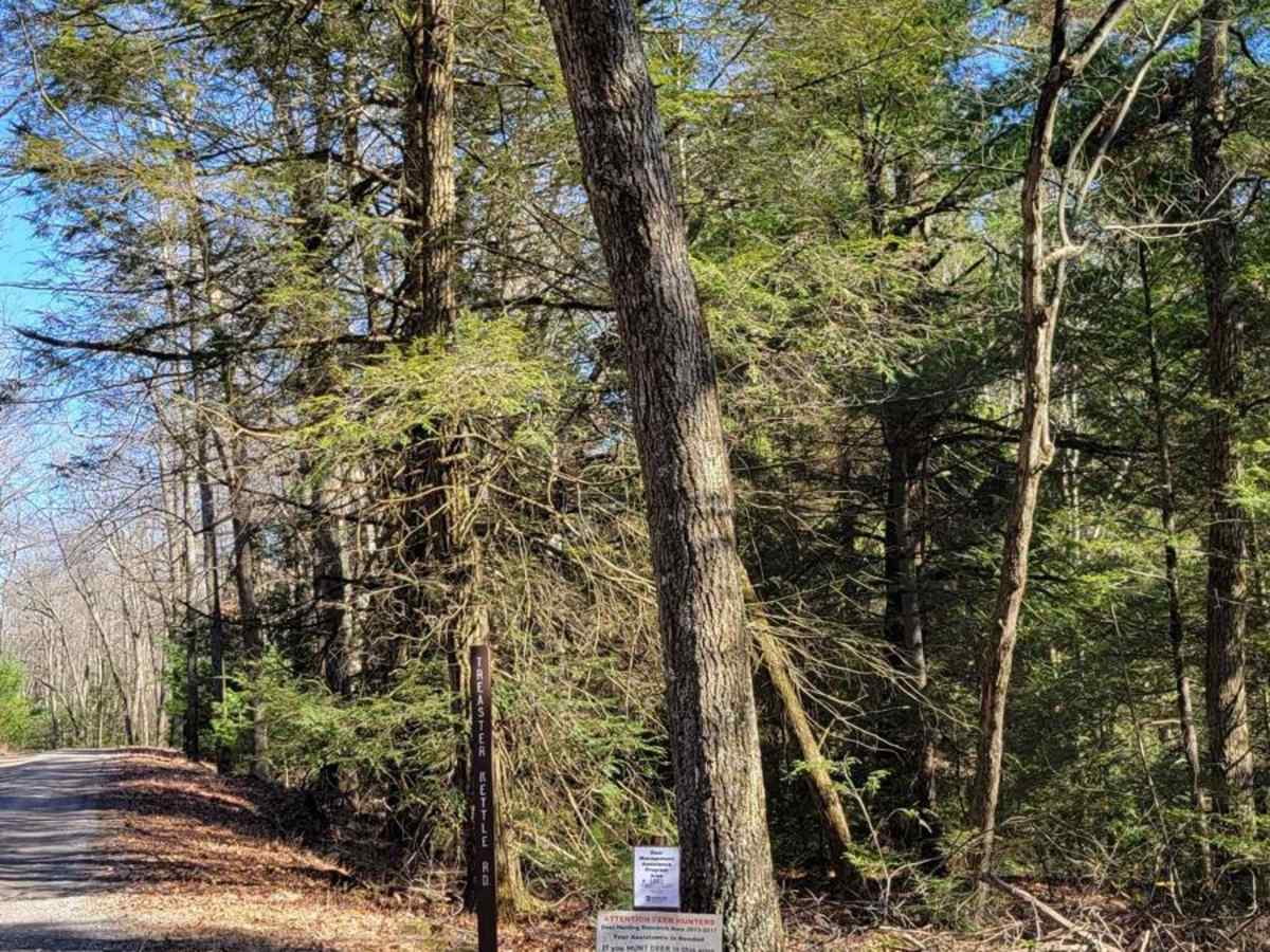 Treasure Kettle Trail photo 5