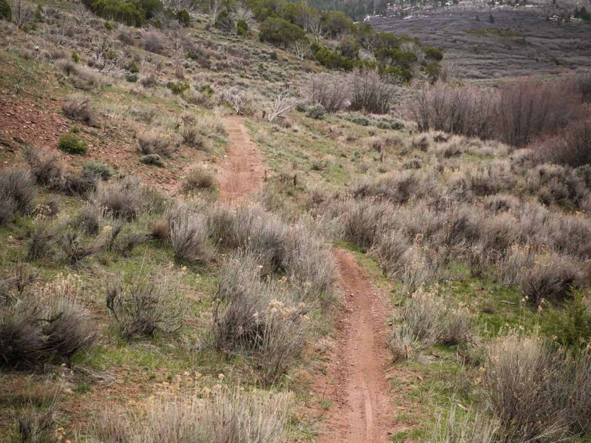 Easy Rider trail photo