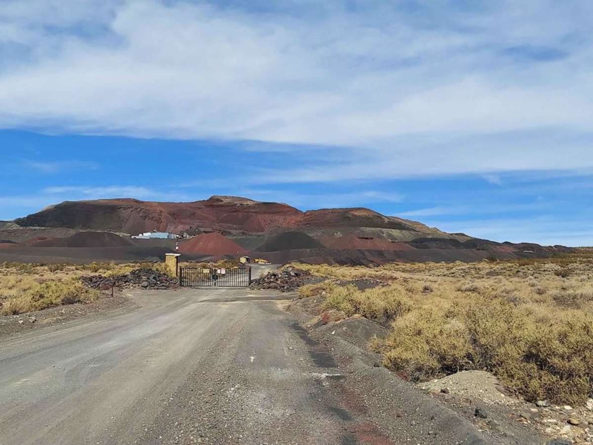 Pipken Cindercone photo 2