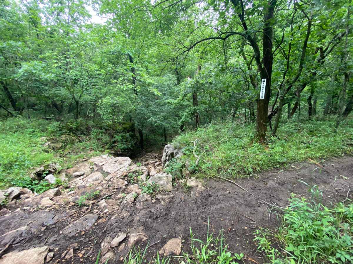 Shredder trail photo