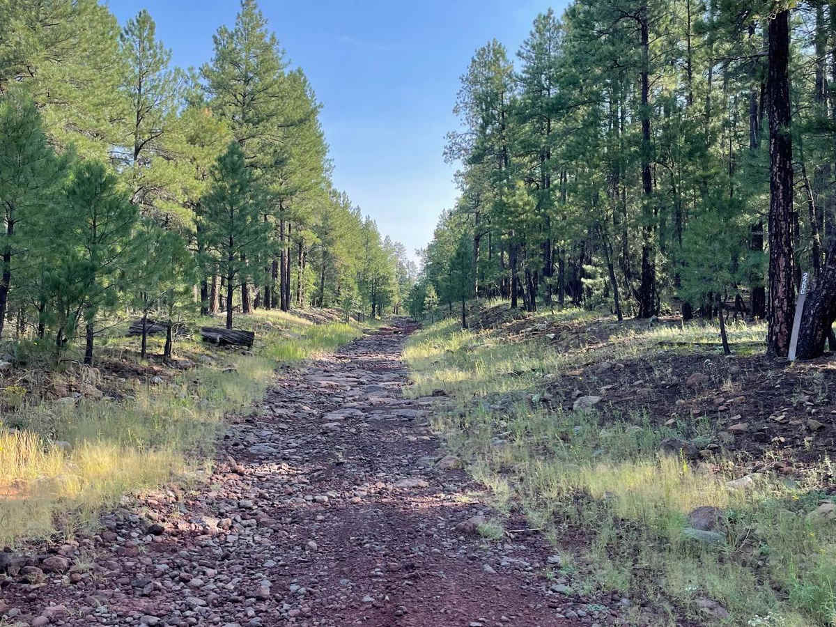 T-Six Canyon Loop photo 2
