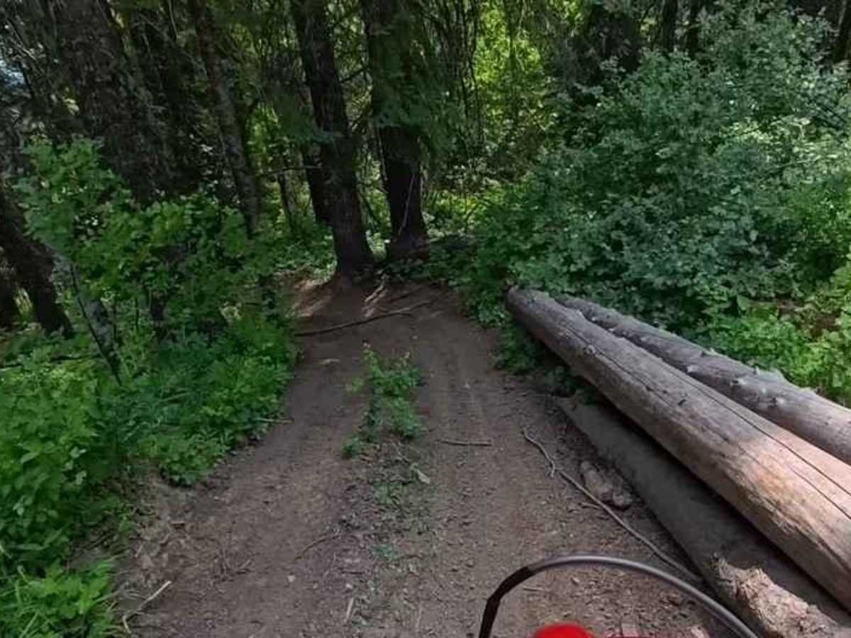 Chesley Creek Trail 19 trail photo