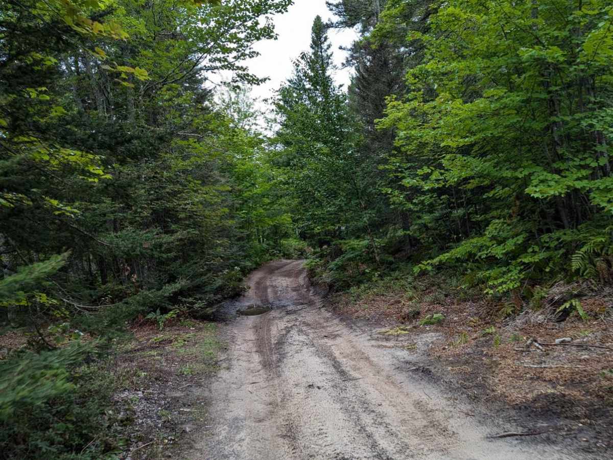 South Mandan Trail trail photo