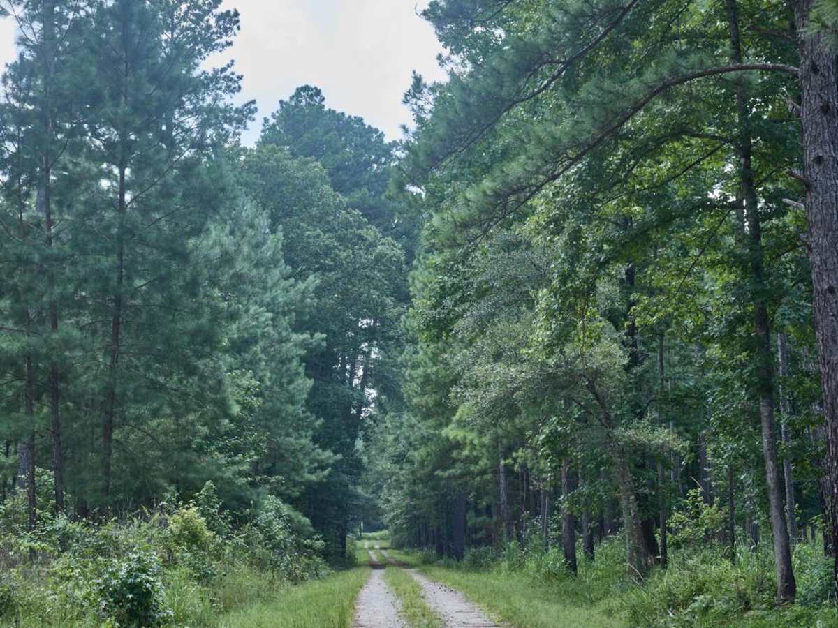 Horseshoe Loop photo 3