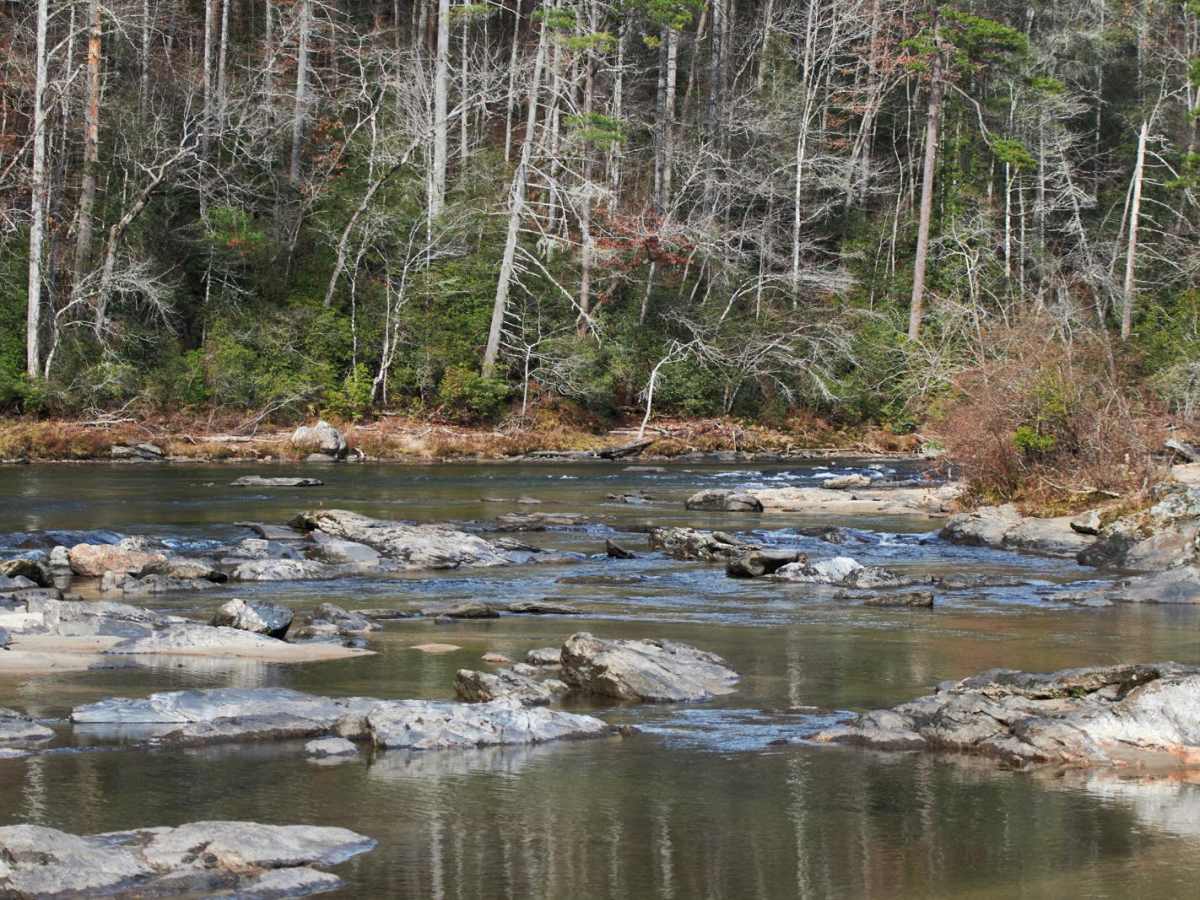 Woodall Shoals - Road 757 photo 2