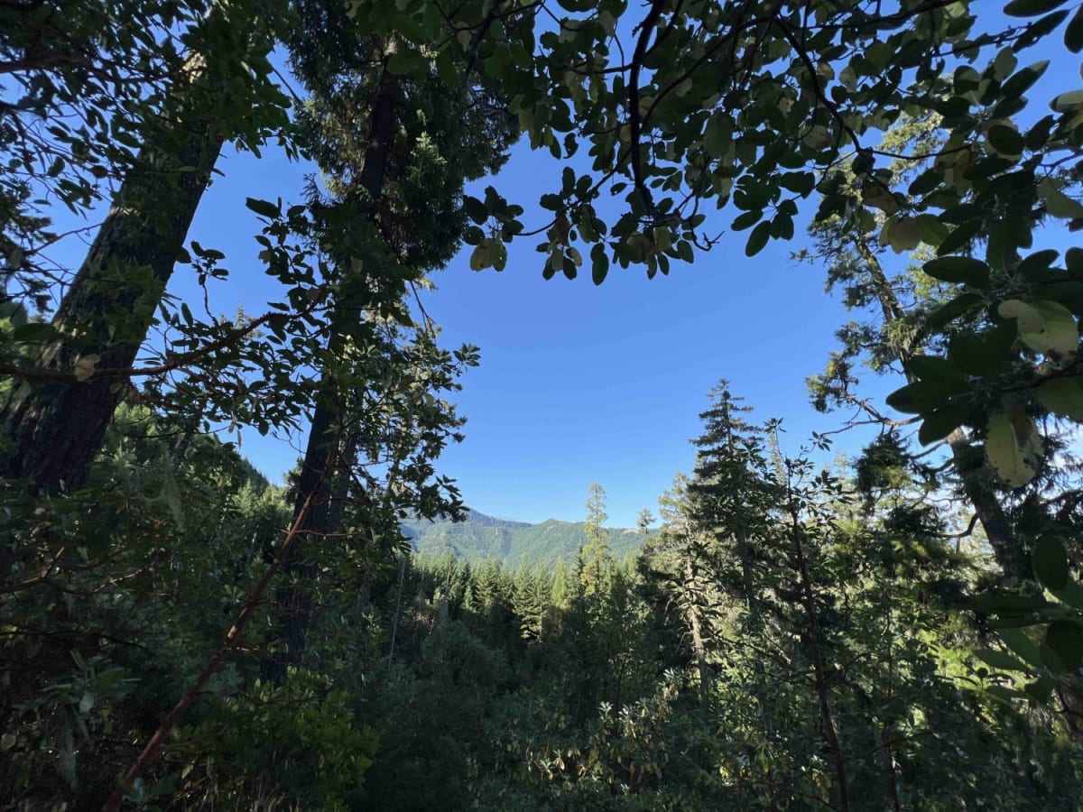 Gate Creek 5875565 photo 5