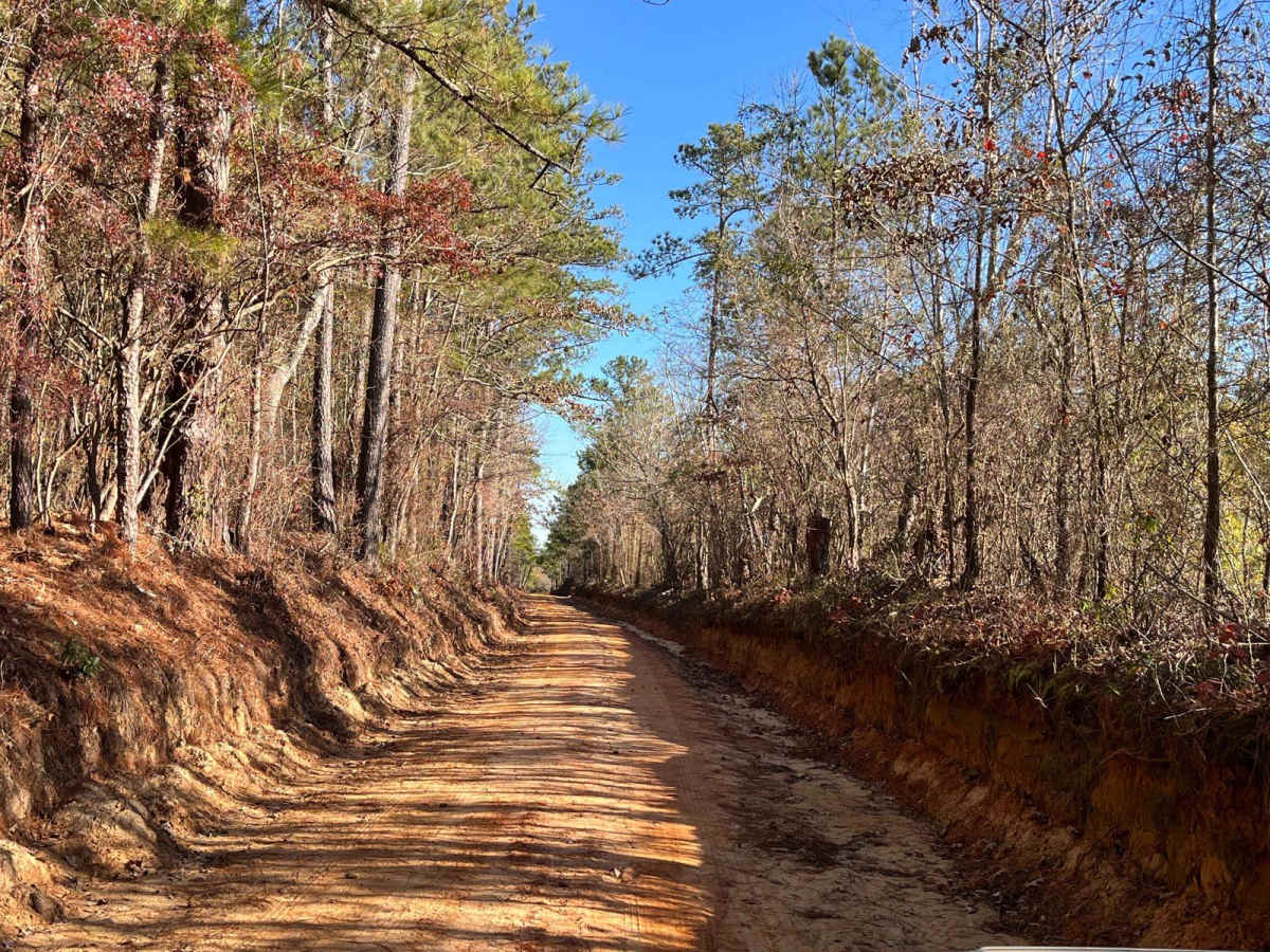 Gunter Pond Road photo 3