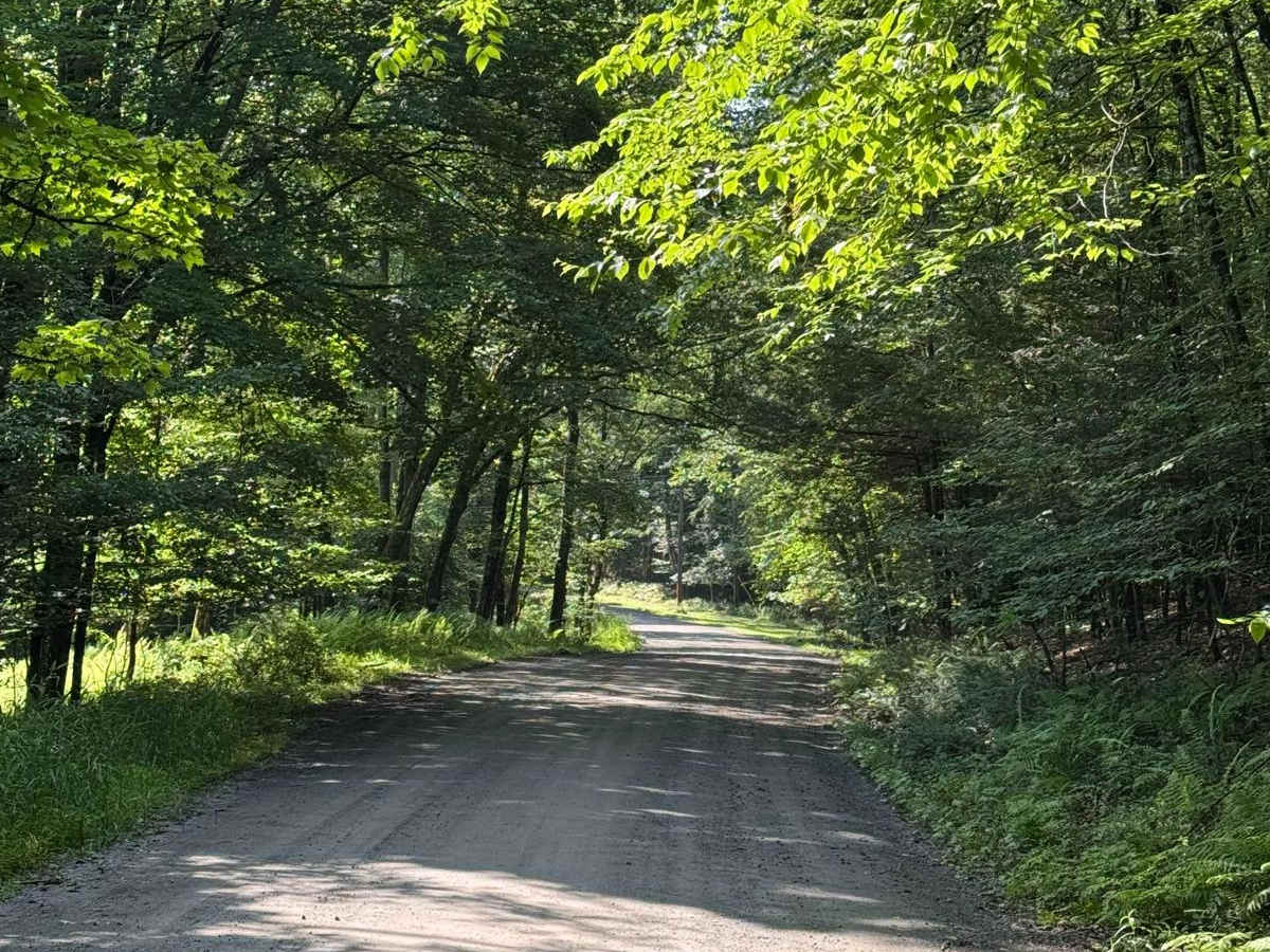 River Road photo 4