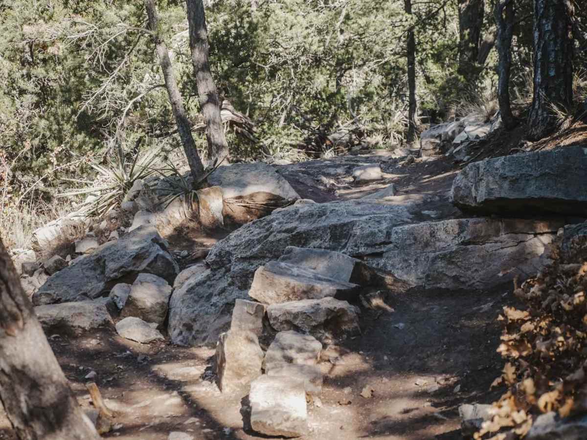 Gnasty W/AG trail photo