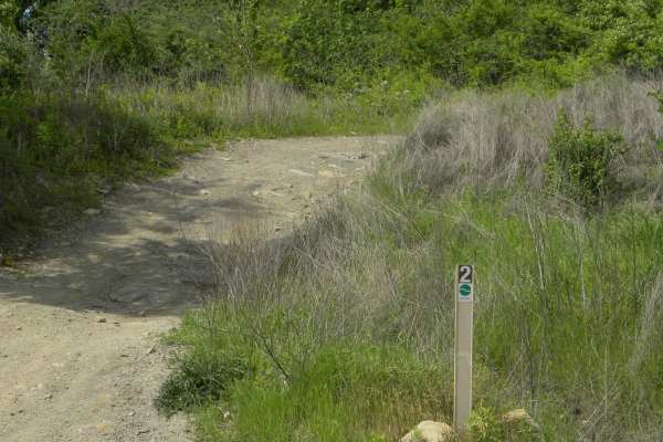 Trail 2