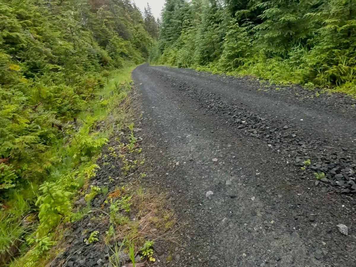 Riva Ridge 6286 trail photo