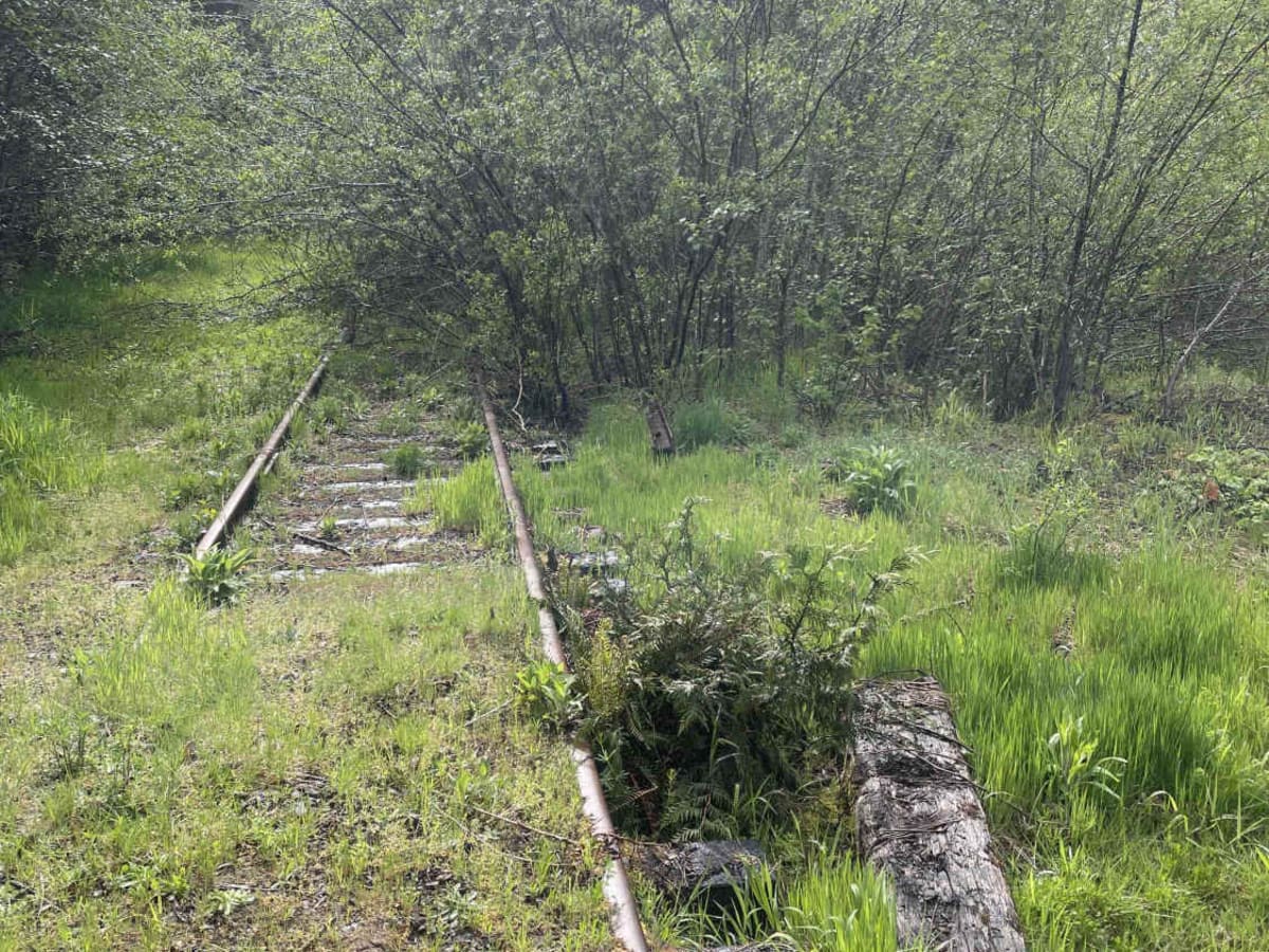 Bell Camp Road photo 5