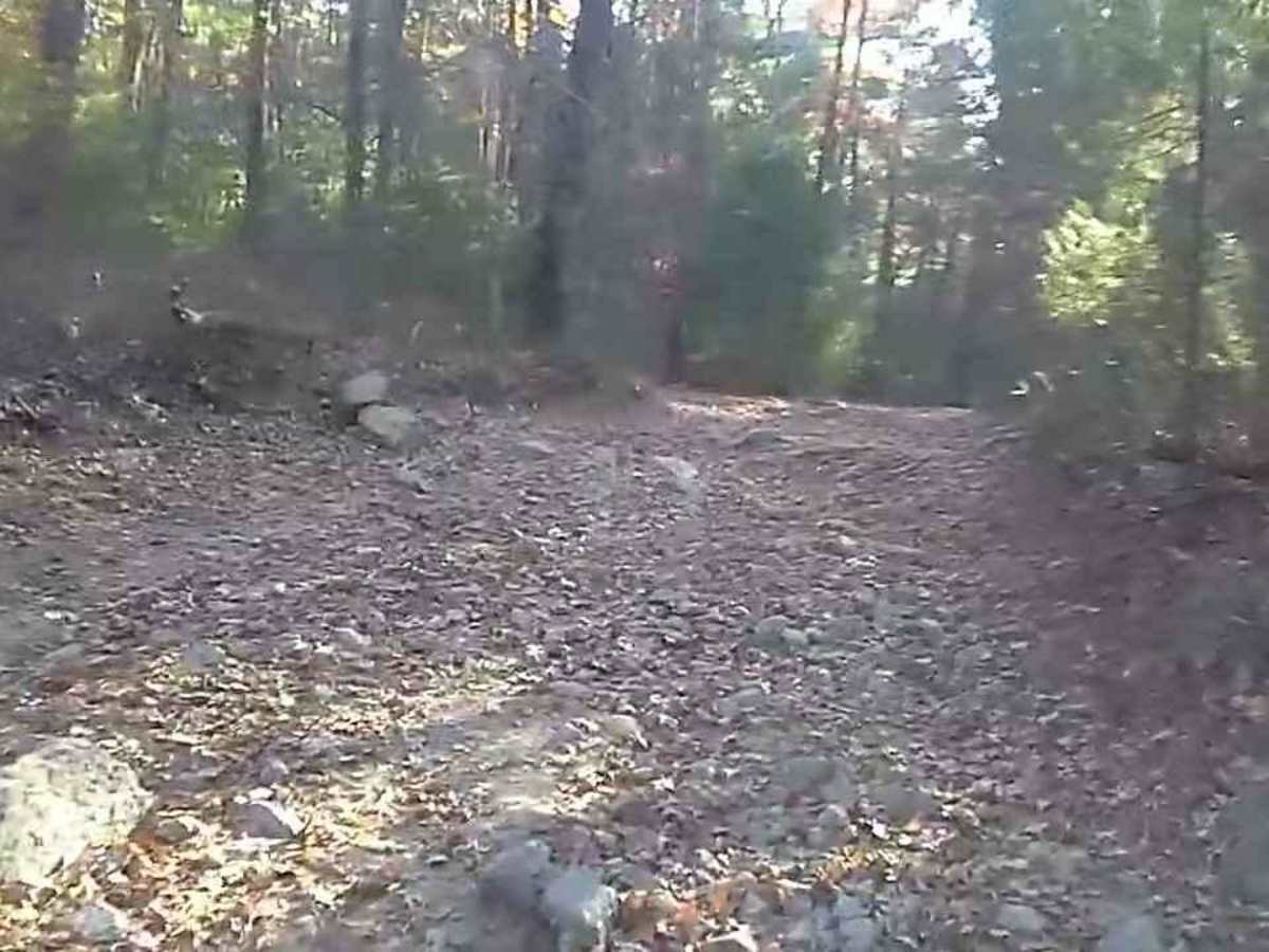 Olney Keach Road photo 3