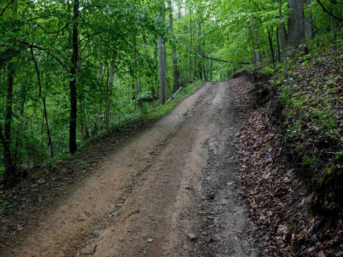 IB 47 trail photo