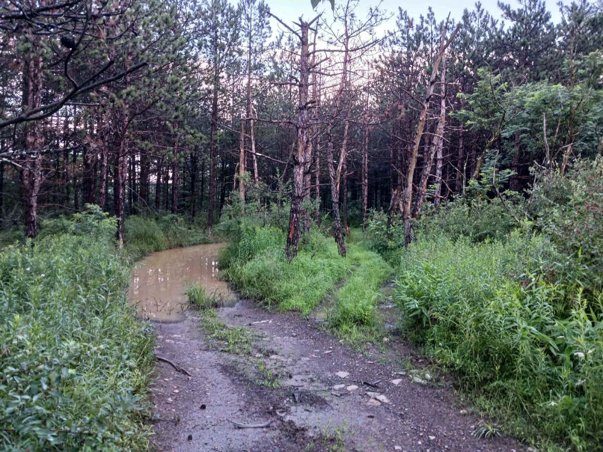 Trail 12M - Rock Run Recreation Area photo 4