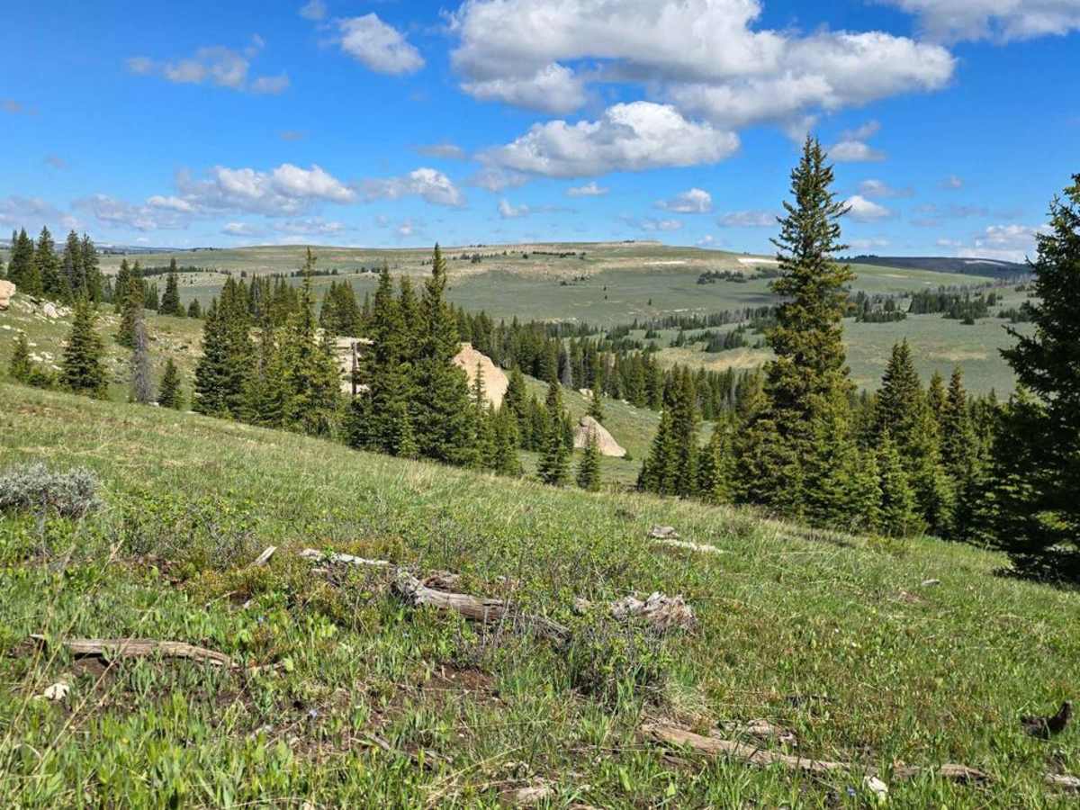Copmans Tomb - Grouse Creek (Trails 216 & 219) photo 4