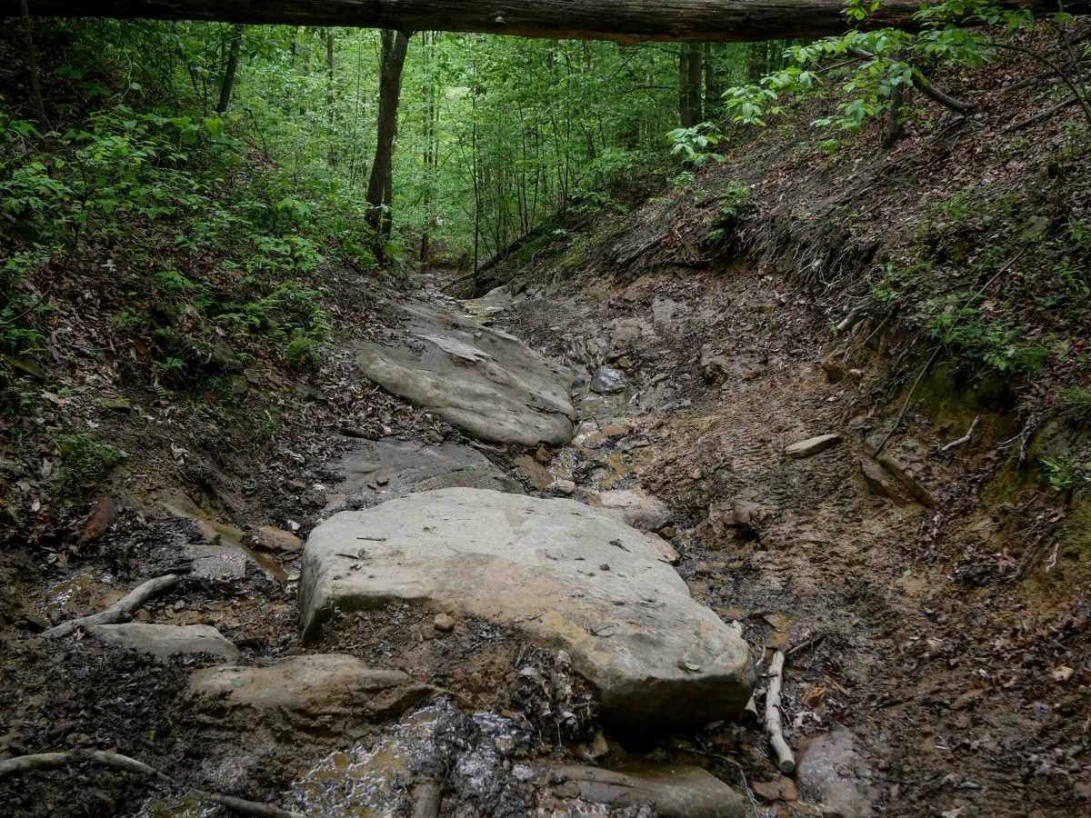 IB 87 trail photo