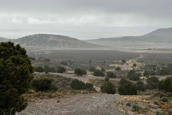 Juniper Pack Trail