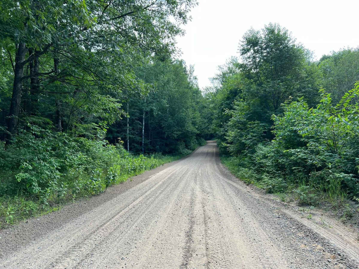 Roberts Lake Road - FS 2144 - Northern Half photo 5