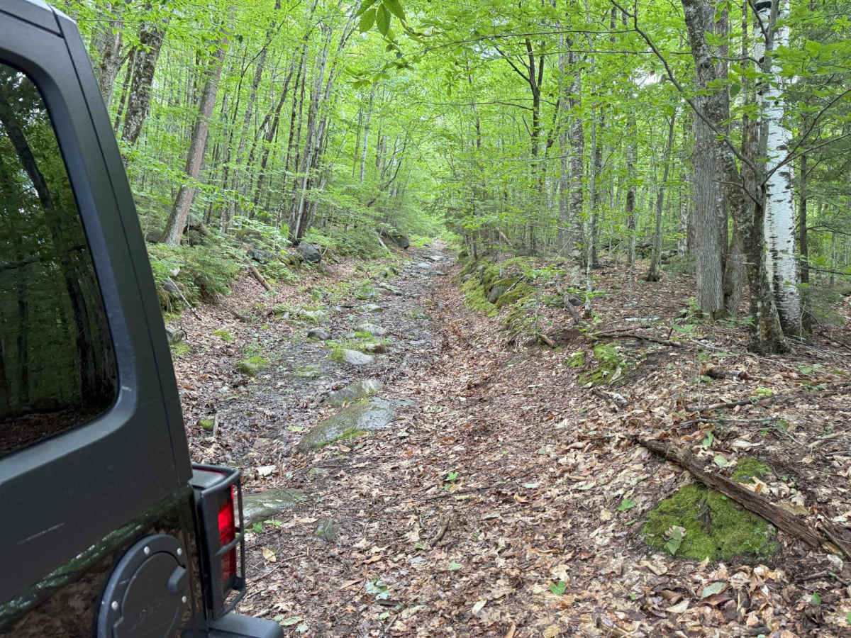 Berry Hill to Old Country Road Loop photo 4