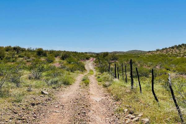 Fence Line Maintenance